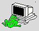 Frog at computer